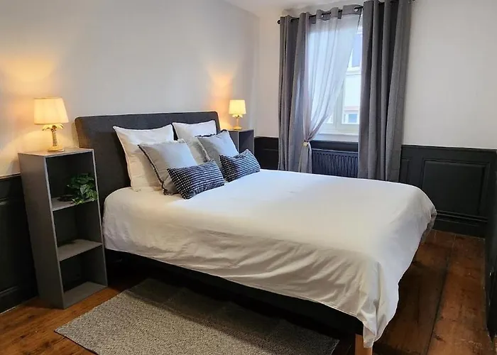 Apartment Hyper Centre Sélestat